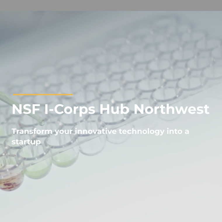 NSF I-Corps Training